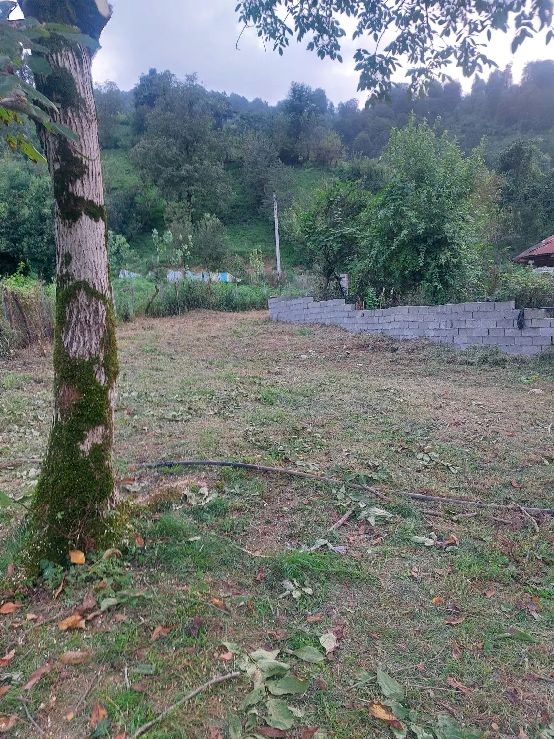 تصویر املاک 128938