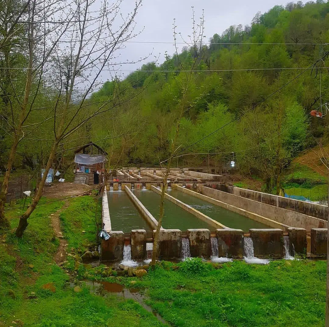 تصویر املاک 125839