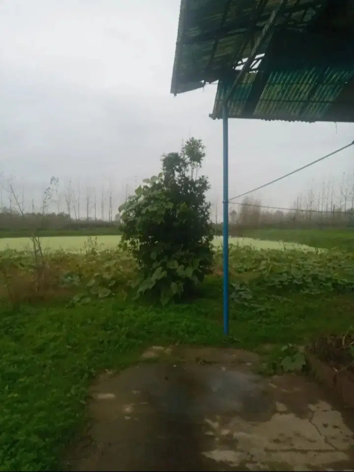 تصویر املاک 100074