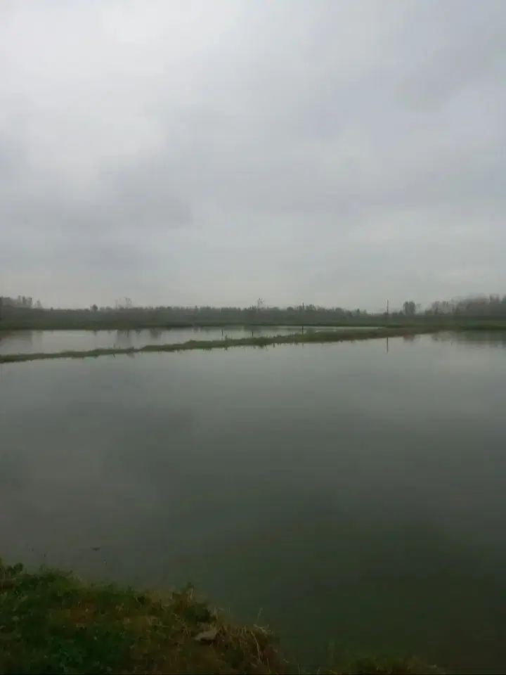 تصویر املاک 100083
