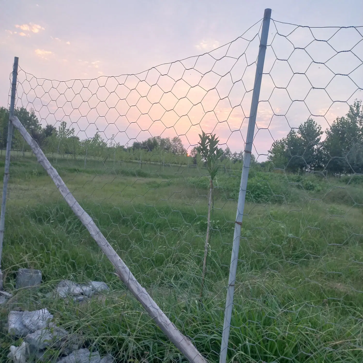 تصویر املاک 110995