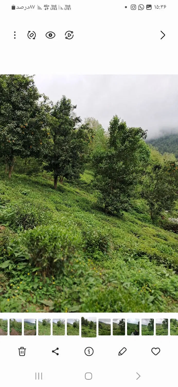 تصویر املاک 94584