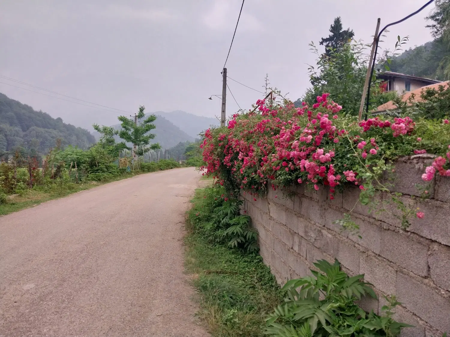 تصویر املاک 62639