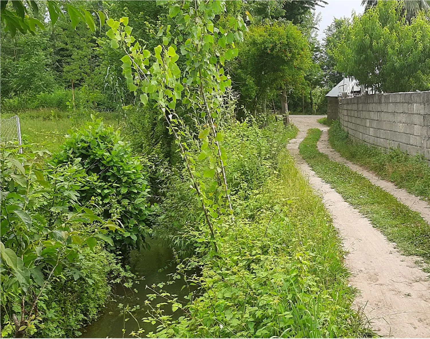 تصویر املاک 114426