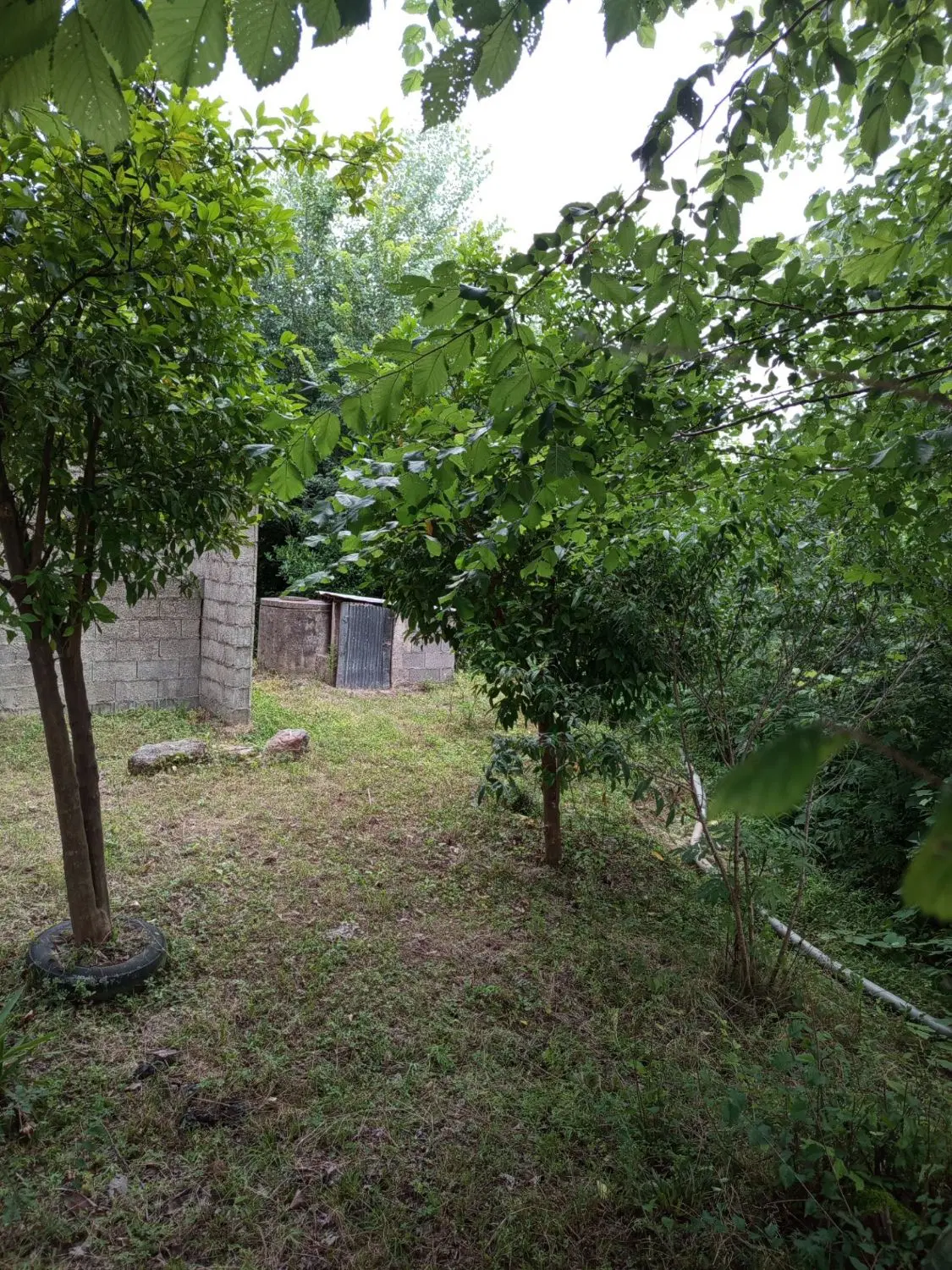 تصویر املاک 106327