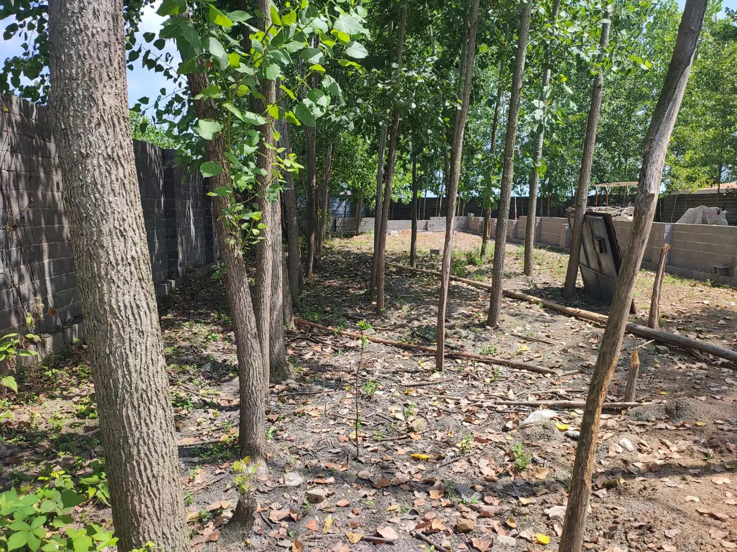 تصویر املاک 100957