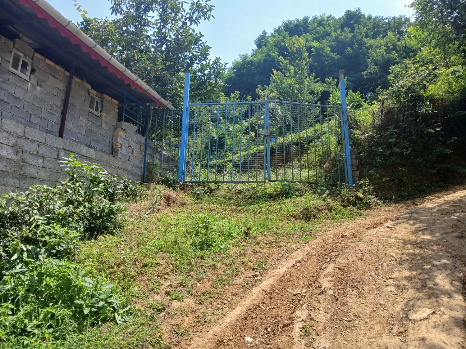 تصویر املاک 90485