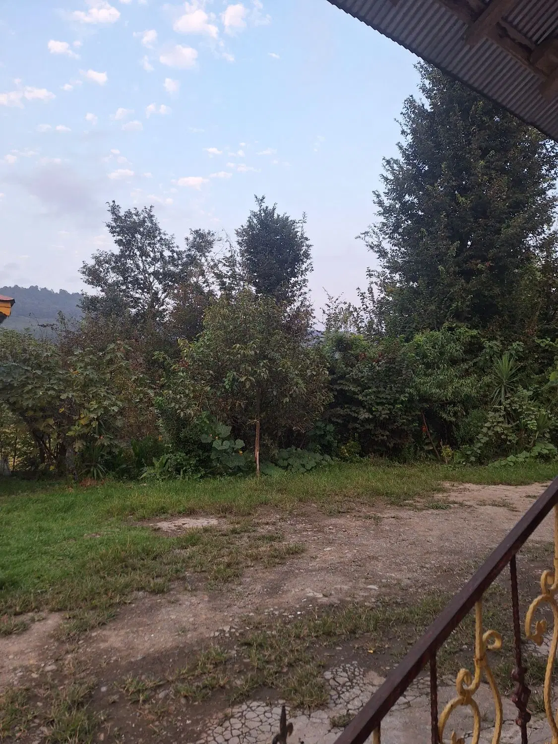 تصویر املاک 122316