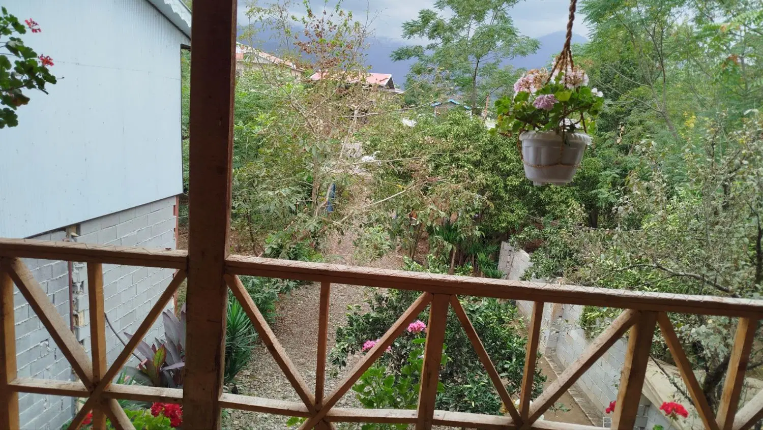 تصویر املاک 118815