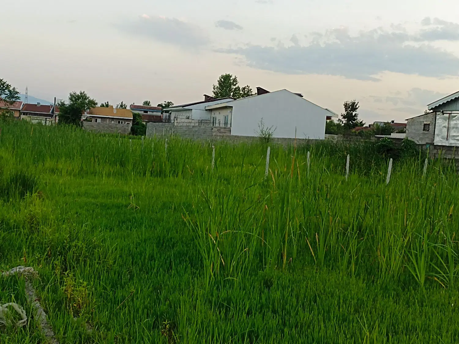 تصویر املاک 77232