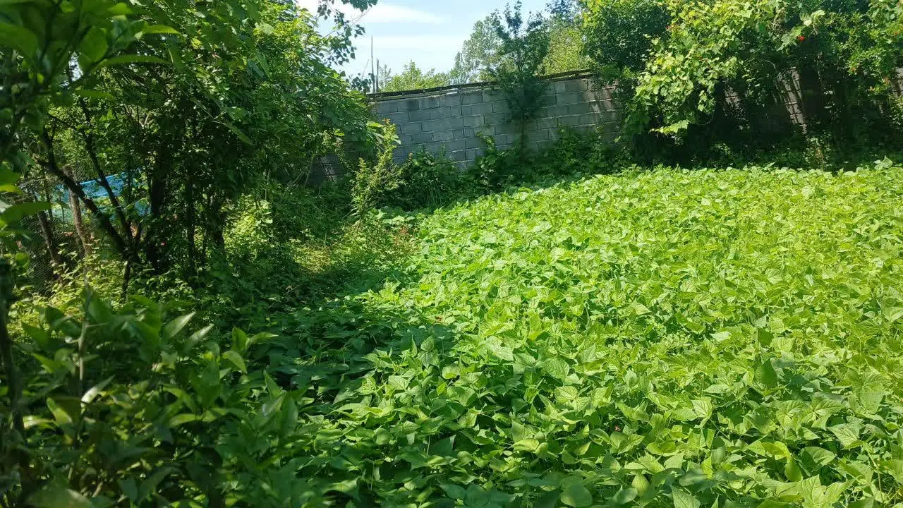 تصویر املاک 103229