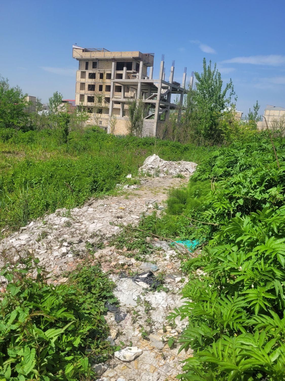 تصویر املاک 51959