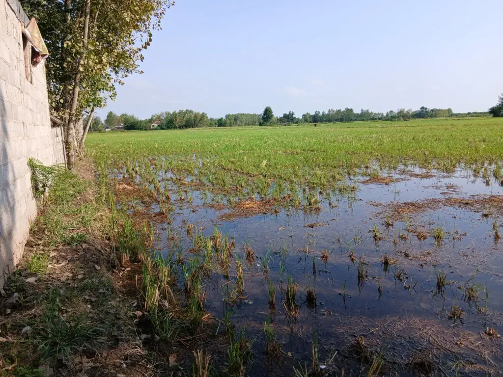 تصویر املاک 142411