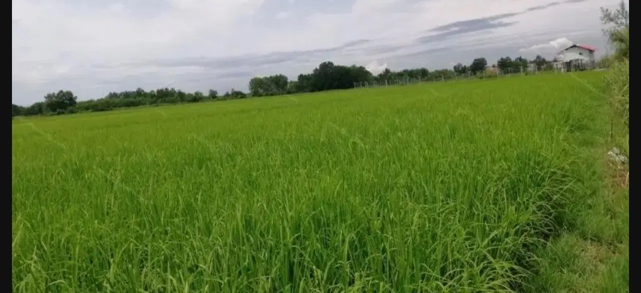 تصویر املاک 65848