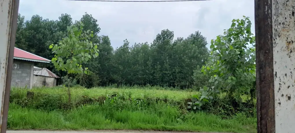 تصویر املاک 95106