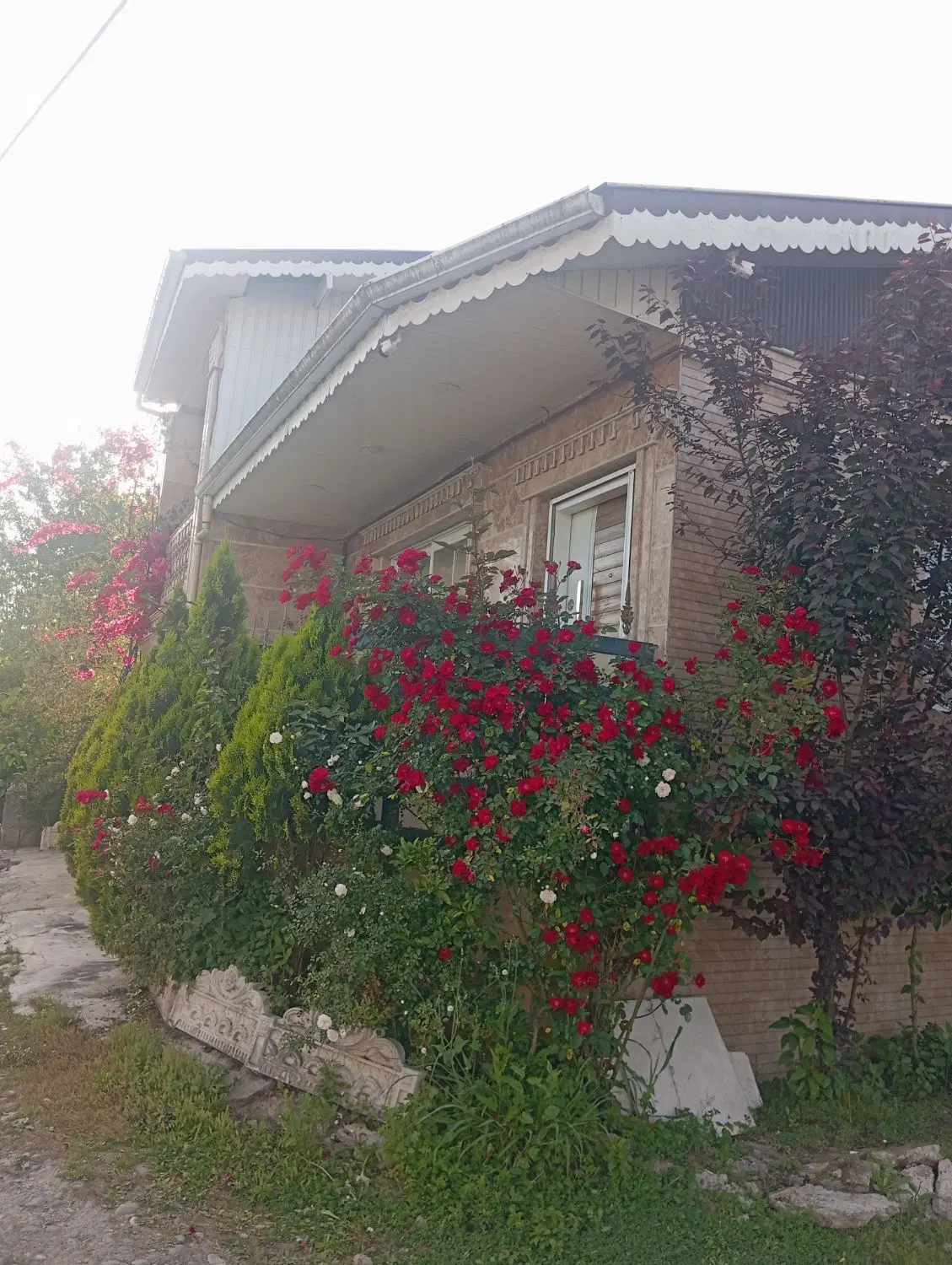 تصویر املاک 106937