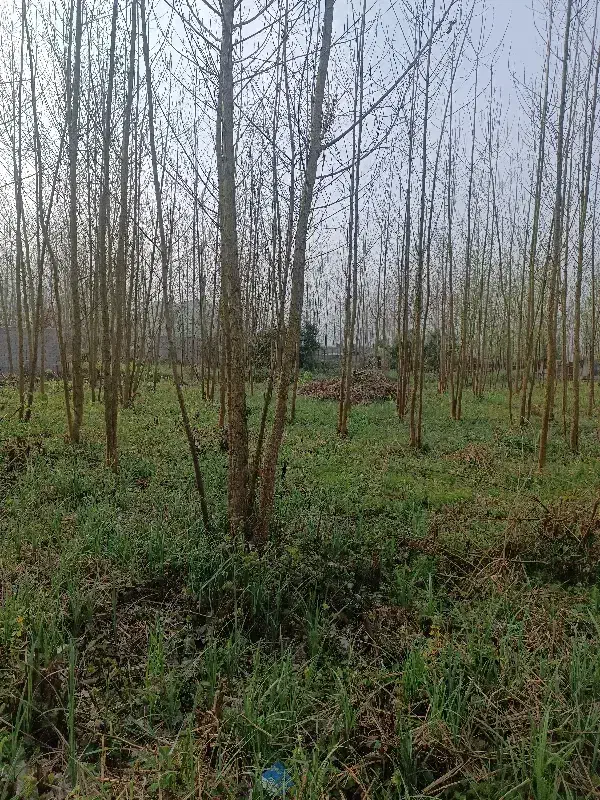 تصویر املاک 41371
