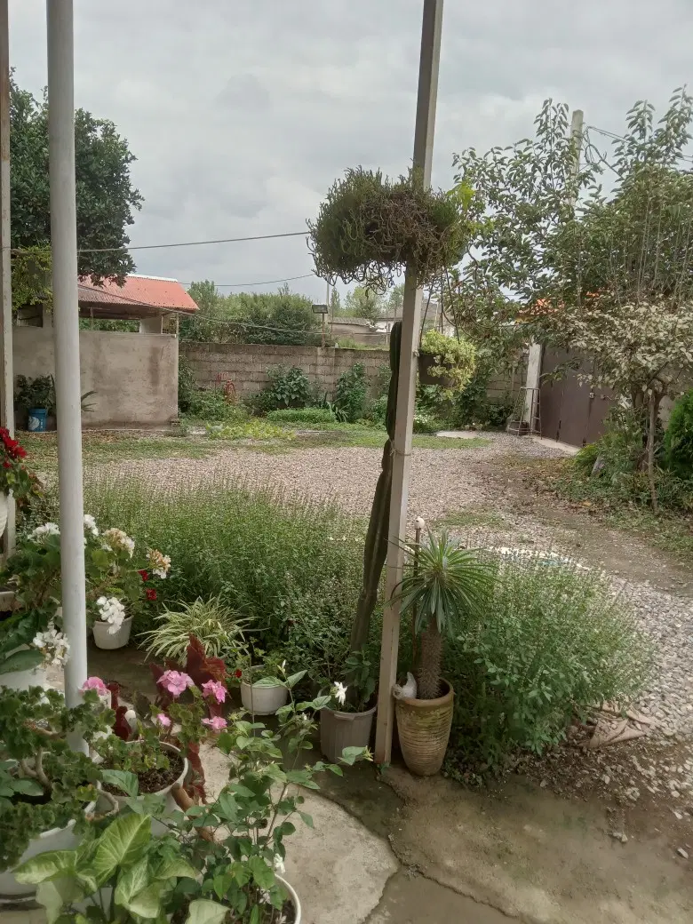 تصویر املاک 118199