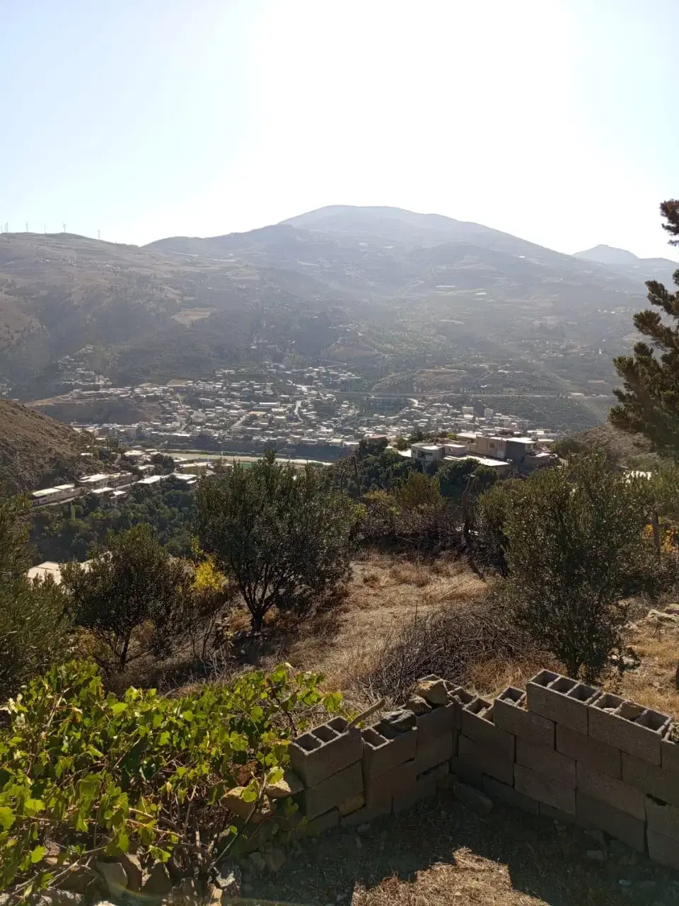 تصویر املاک 82178