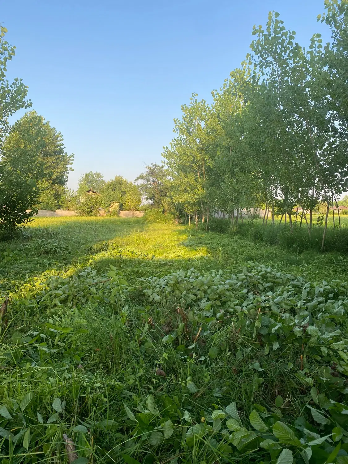تصویر املاک 106895
