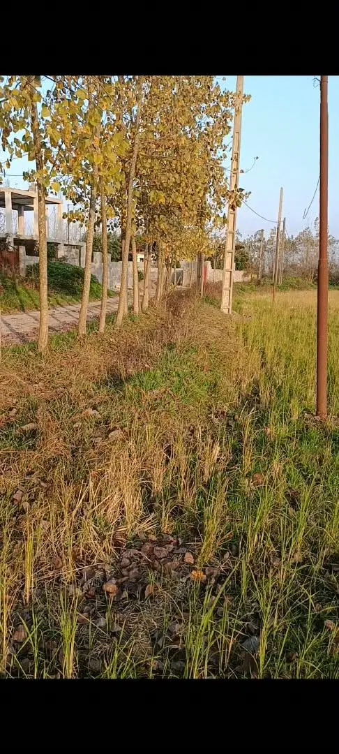 تصویر املاک 139593