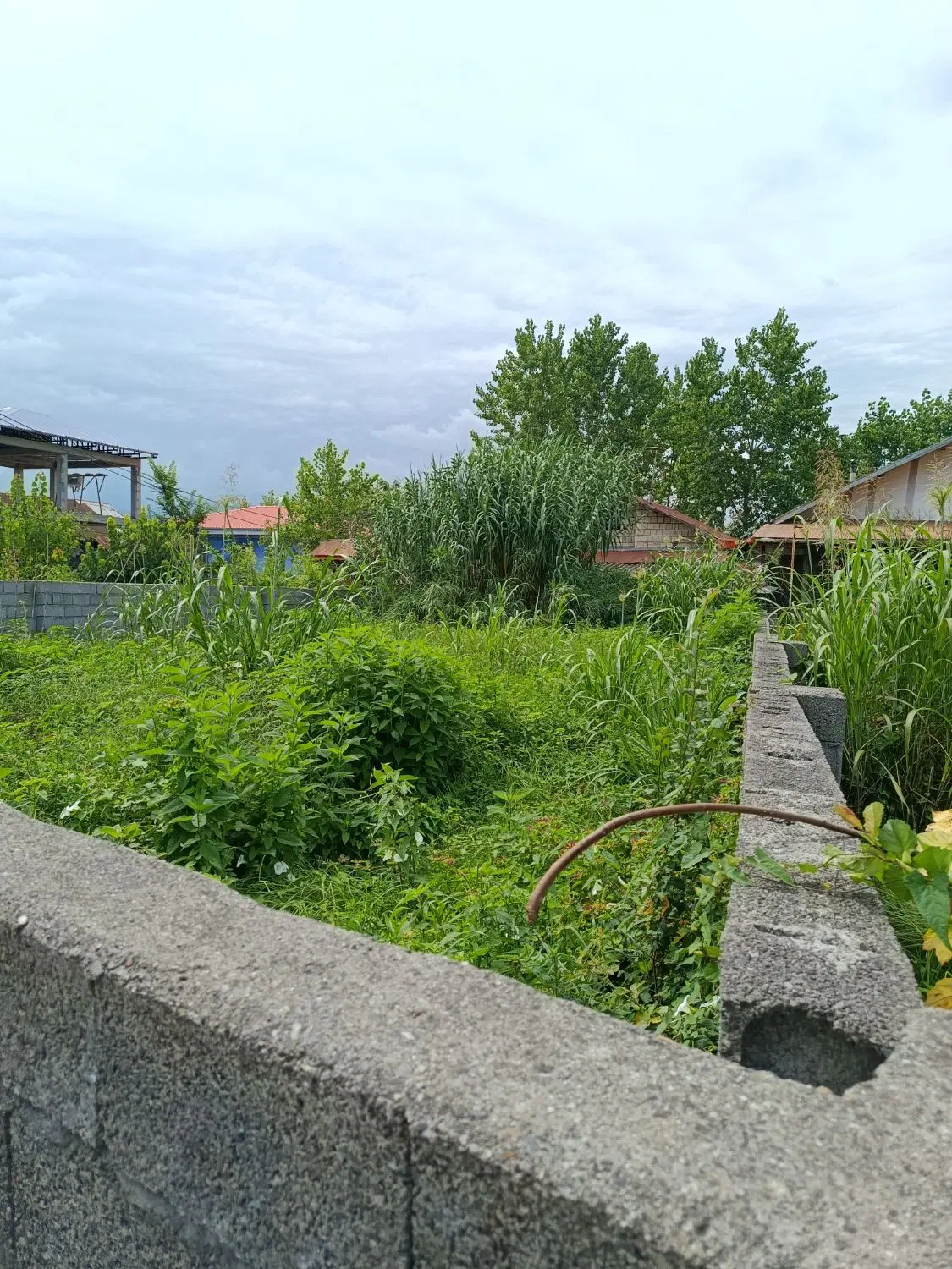 تصویر املاک 73516