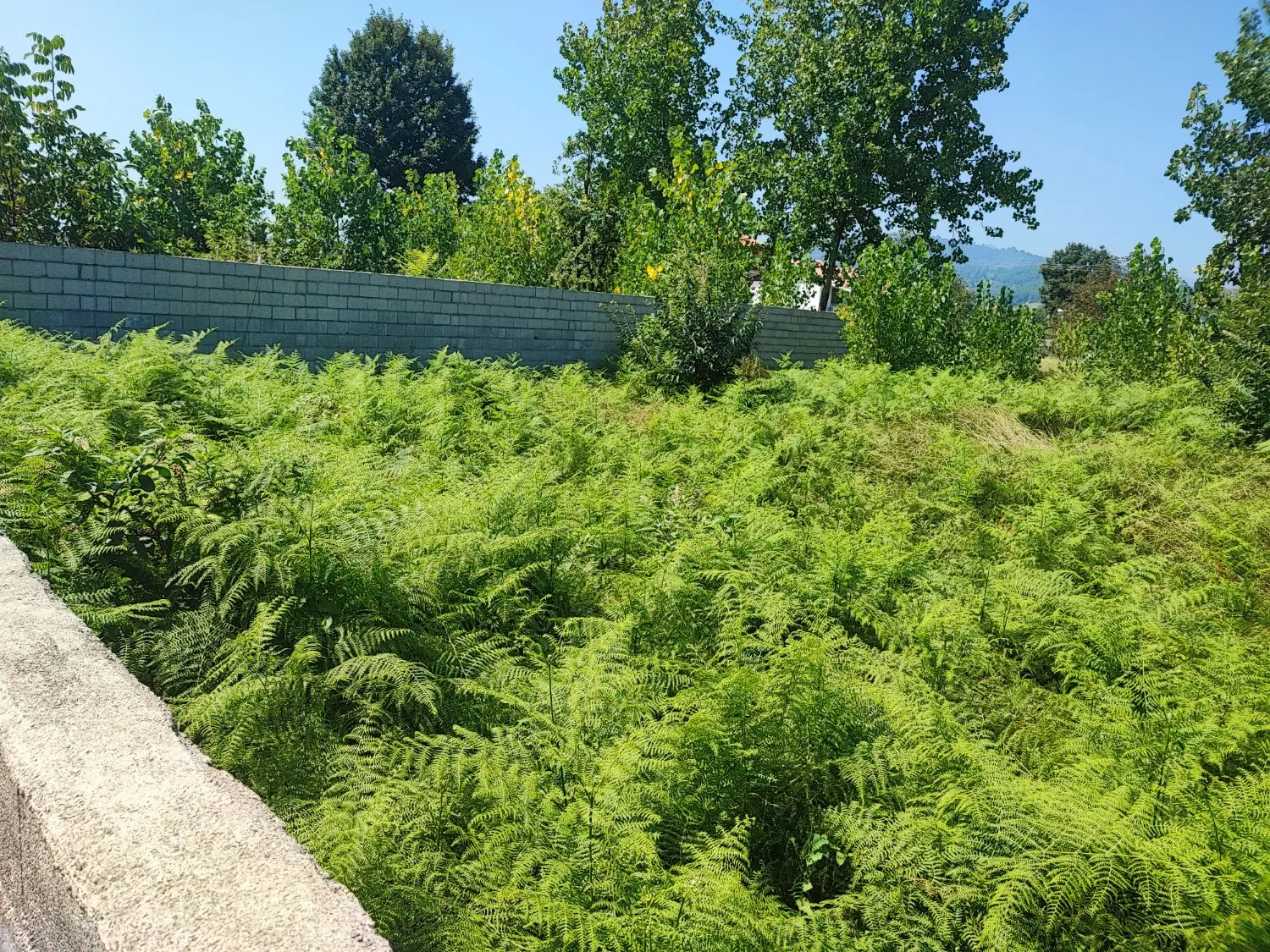 تصویر املاک 130042