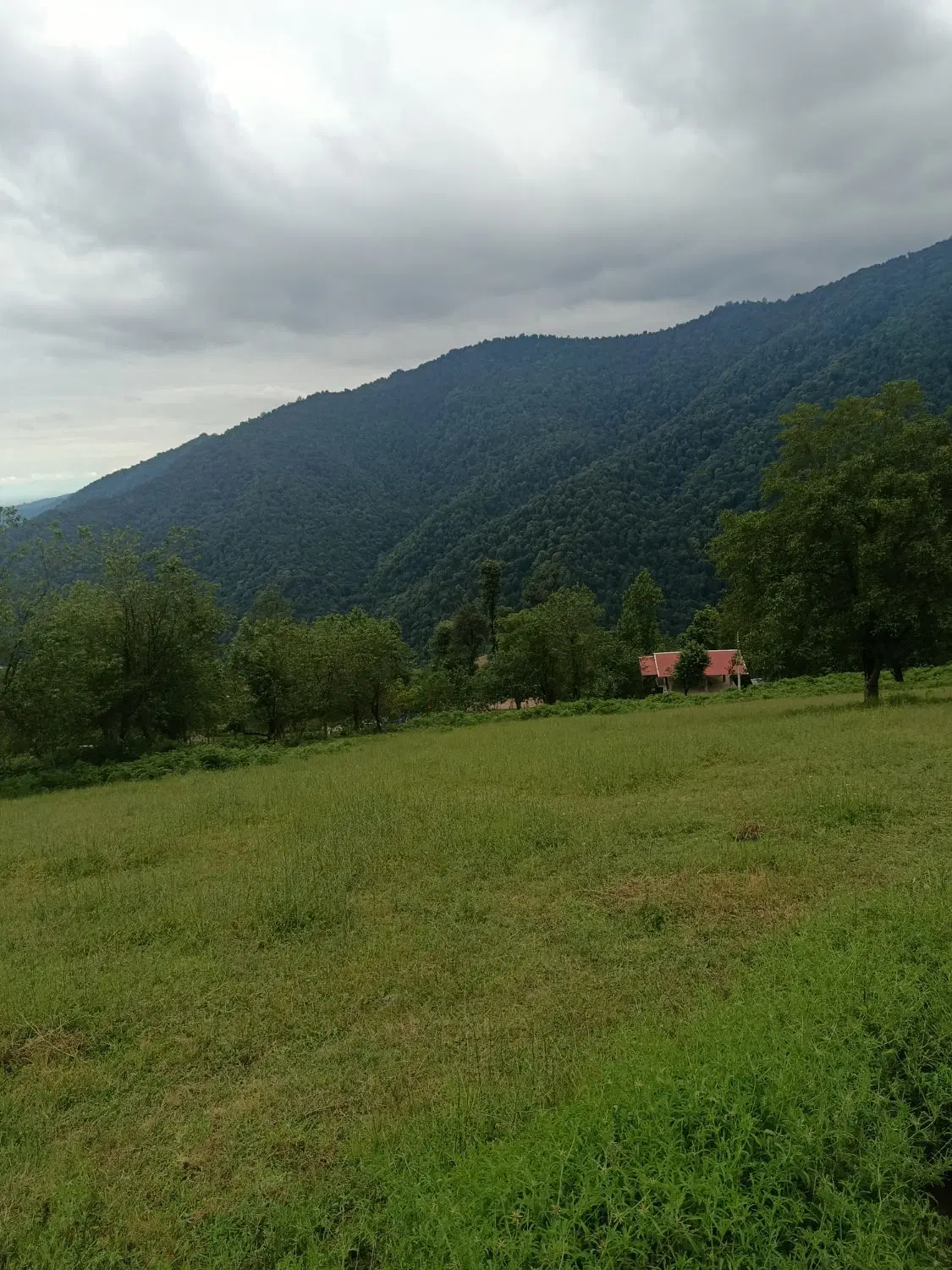 تصویر املاک 79470