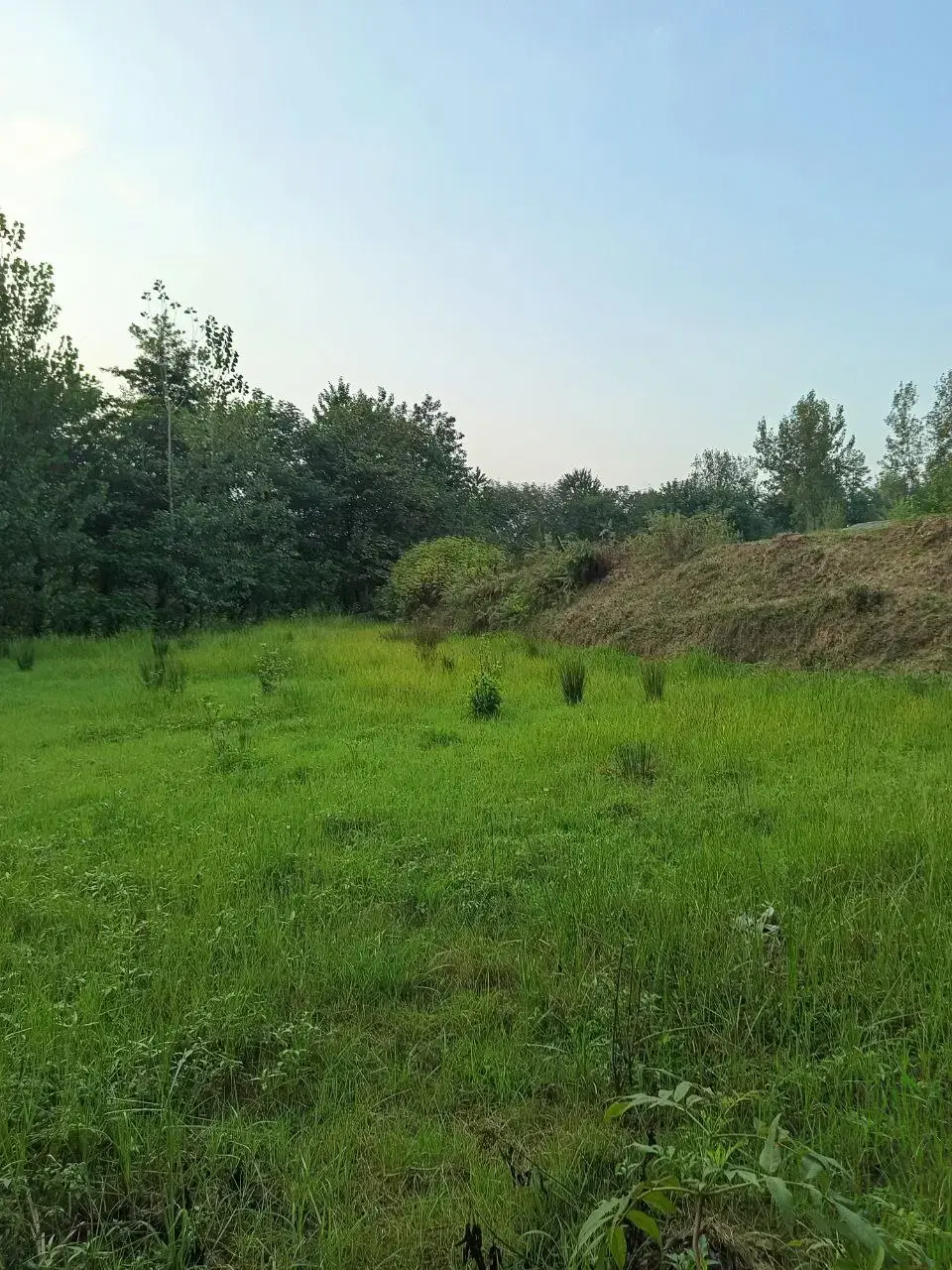 تصویر املاک 115943