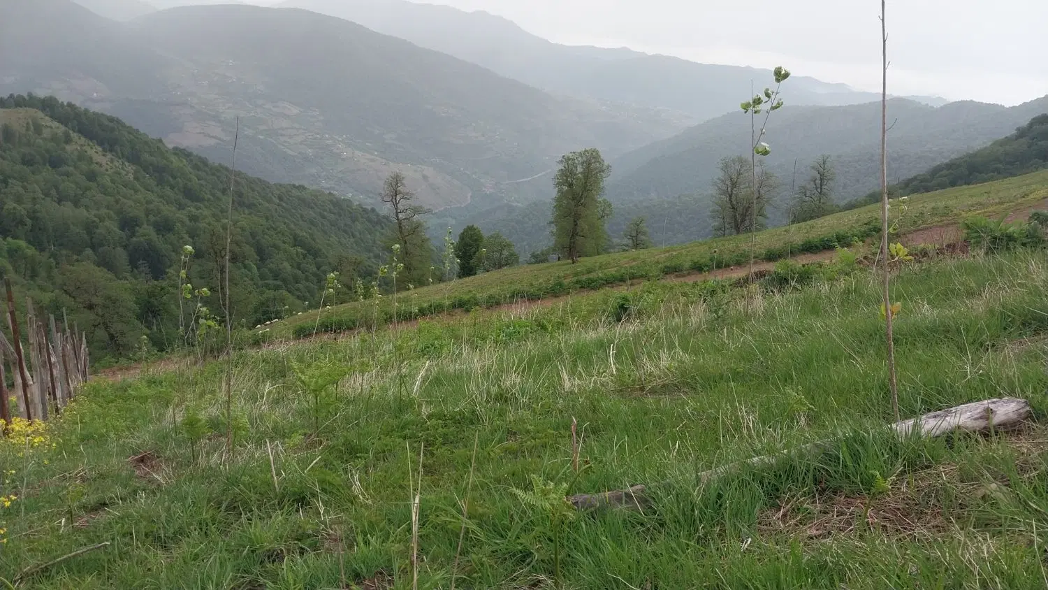 تصویر املاک 93157