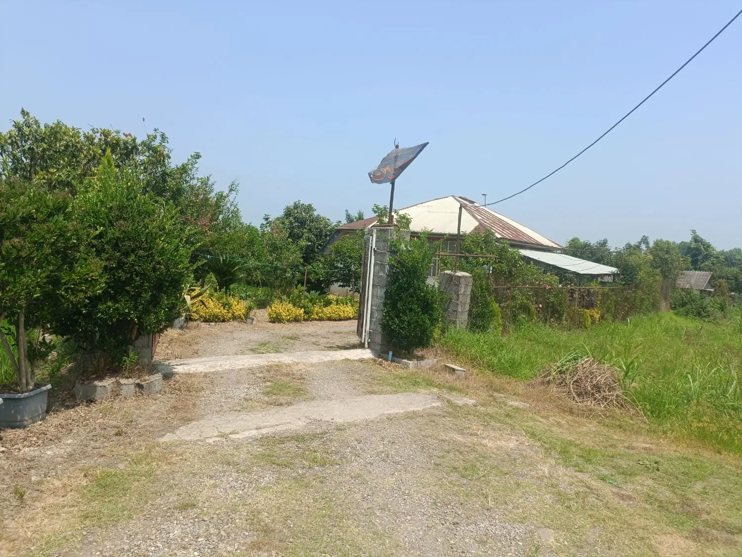 تصویر املاک 85842