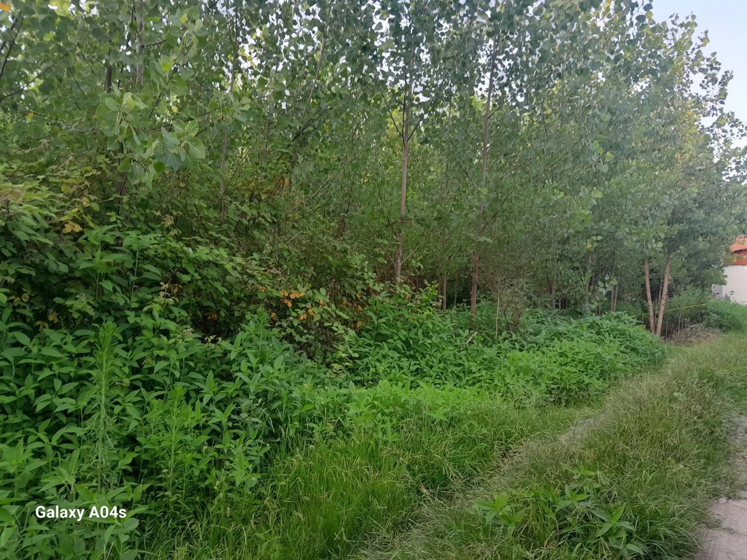 تصویر املاک 117813