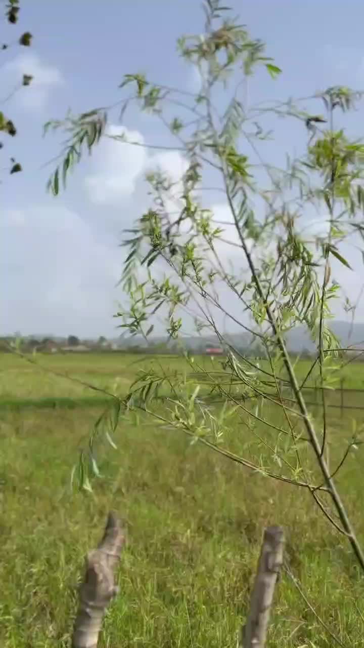 تصویر املاک 140421