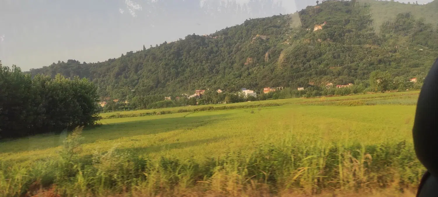 تصویر املاک 116311