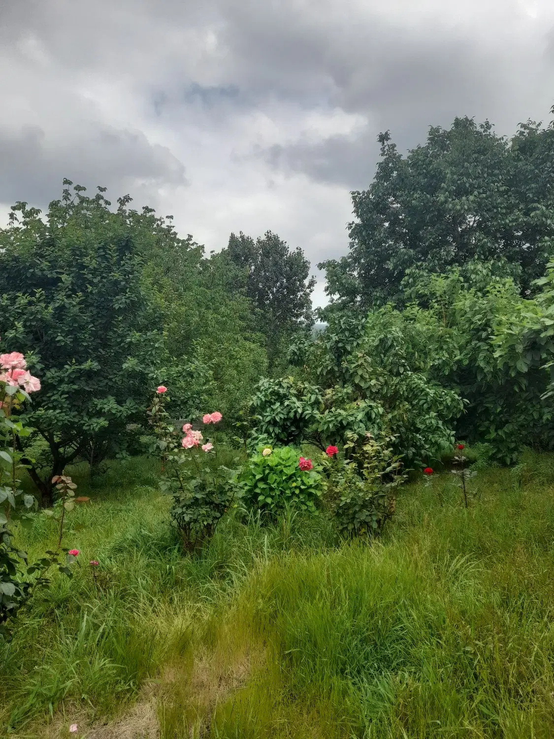 تصویر املاک 92772