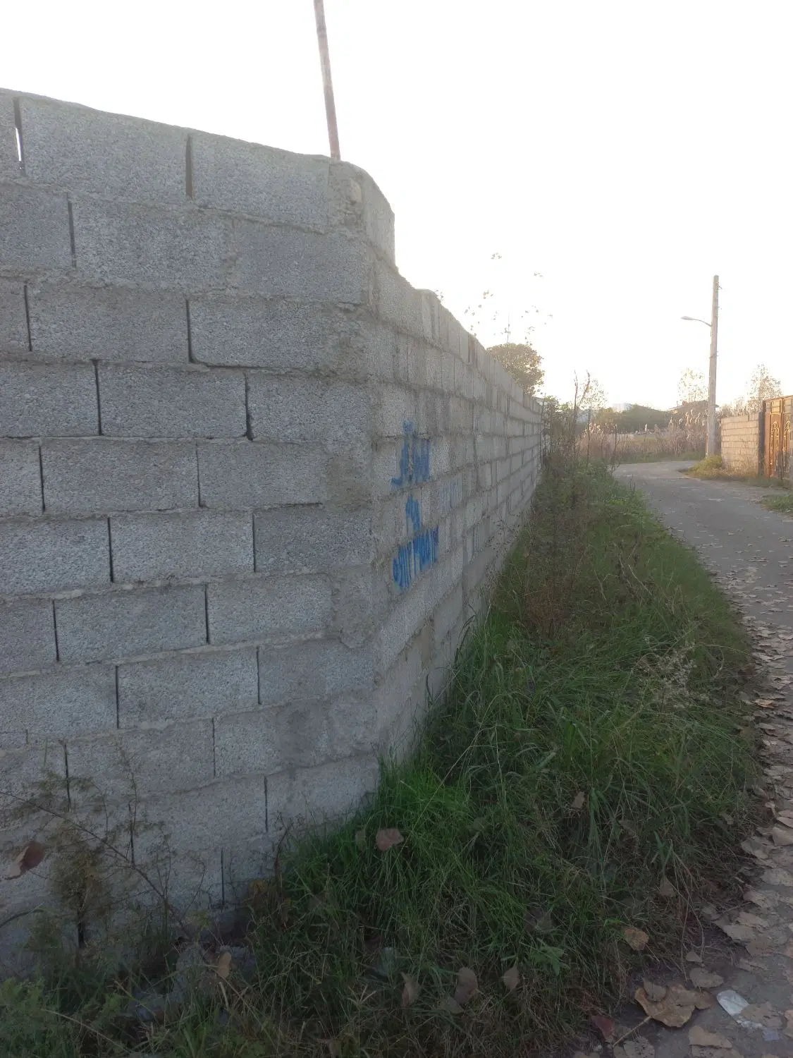 تصویر املاک 98029