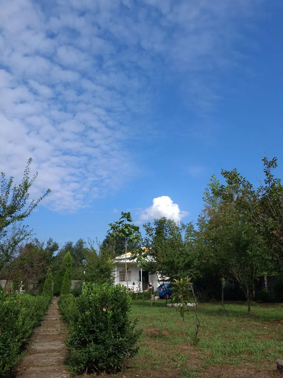 تصویر املاک 95510