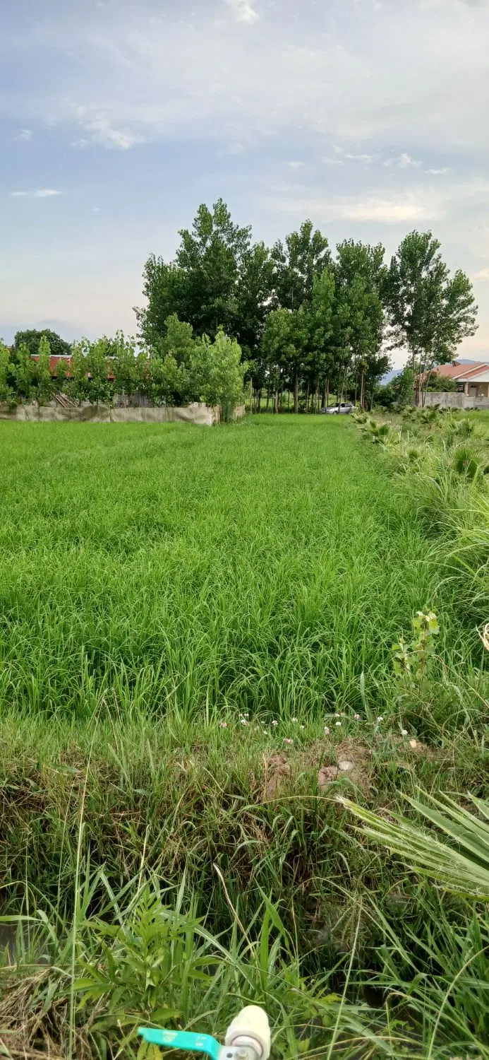 تصویر املاک 122017