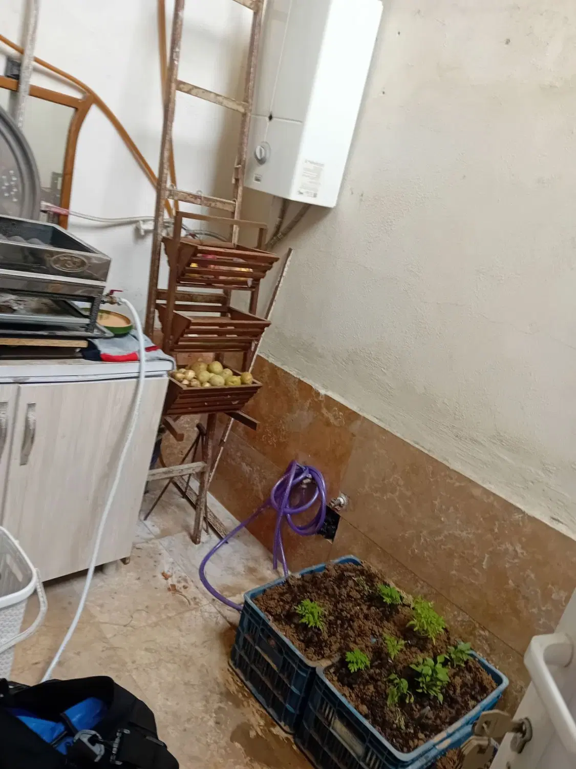 تصویر املاک 69240