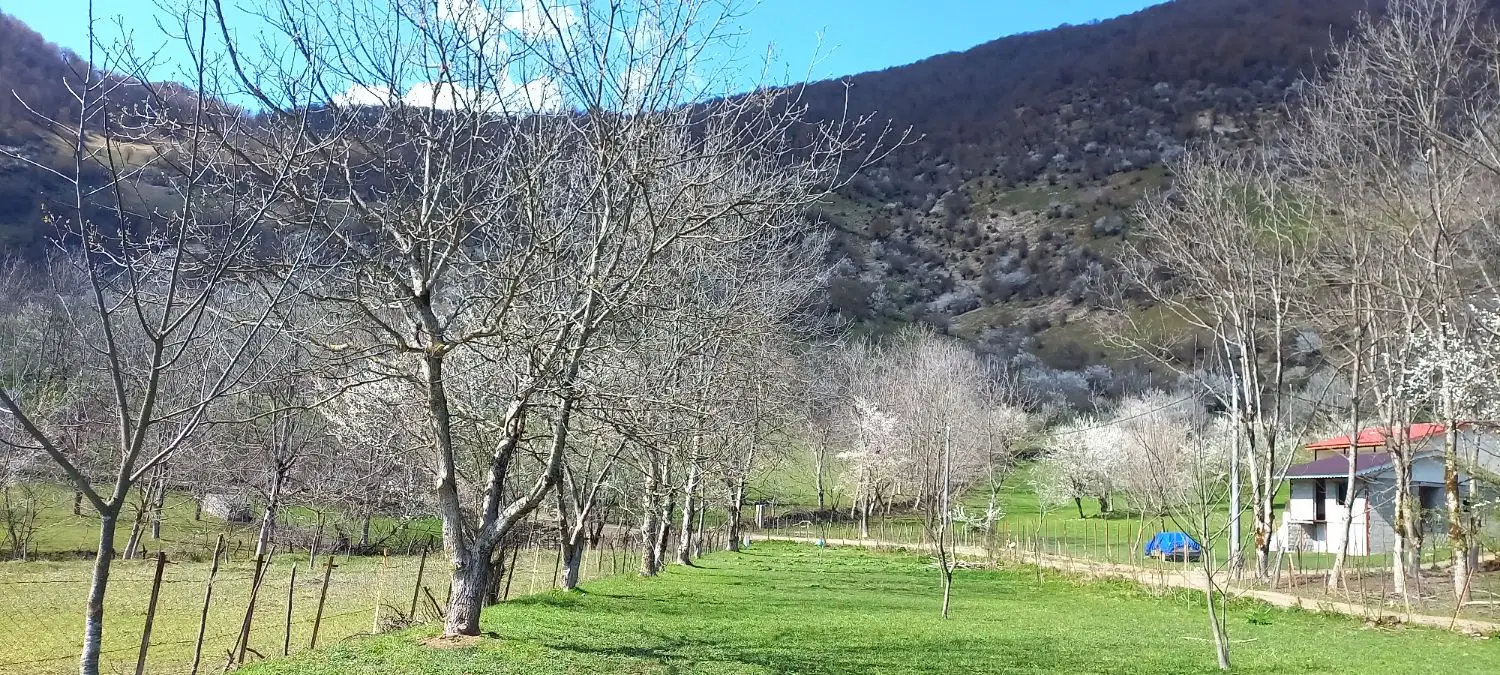 تصویر املاک 60475