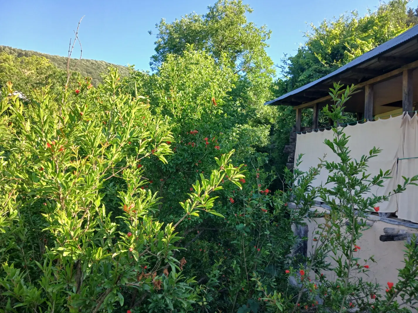 تصویر املاک 79941