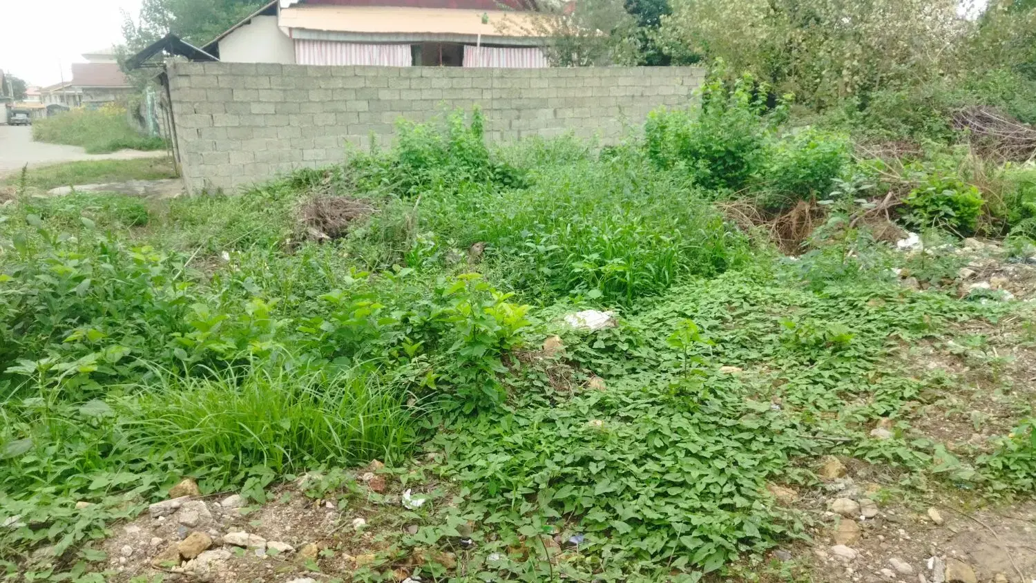 تصویر املاک 73284