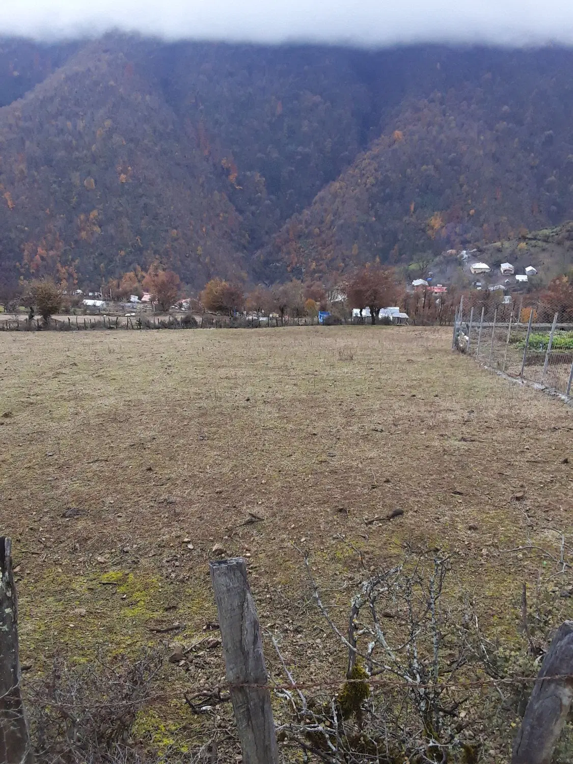 تصویر املاک 79485
