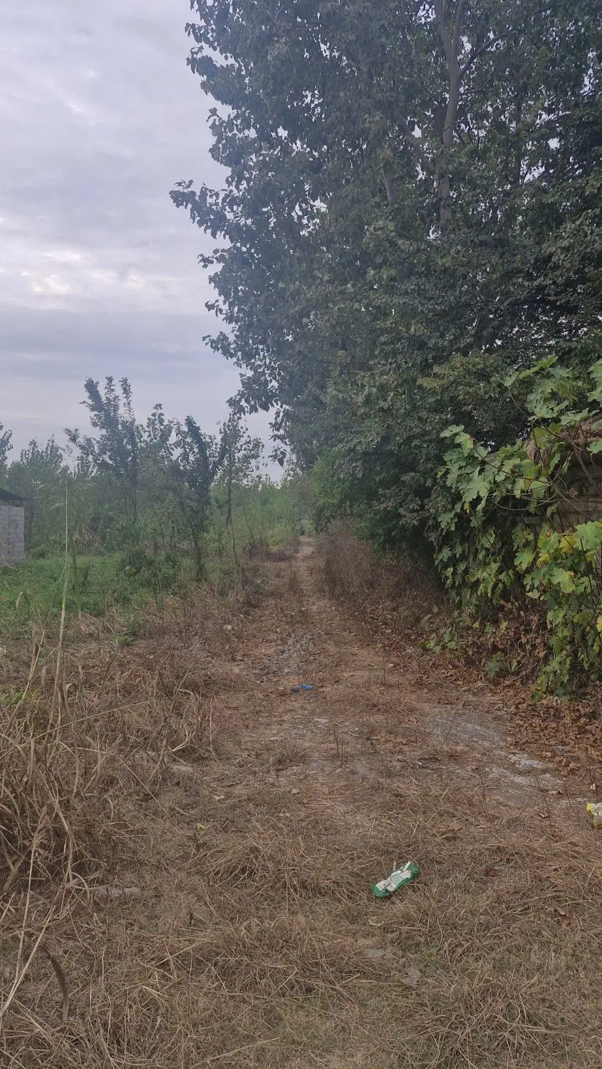 تصویر املاک 108142