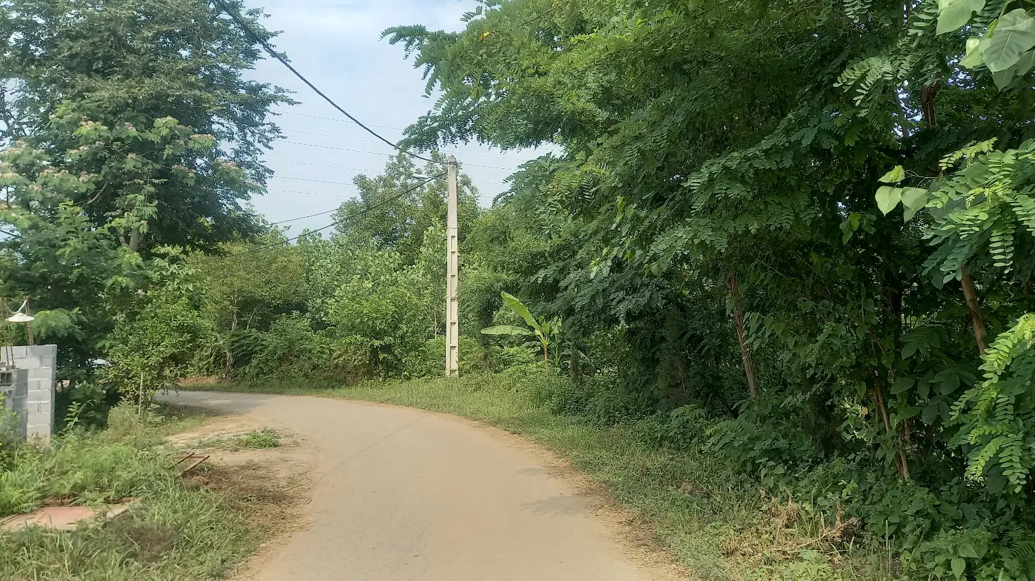 تصویر املاک 118349