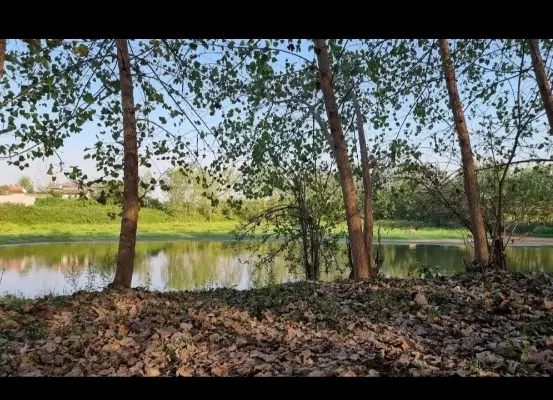 تصویر املاک 120482