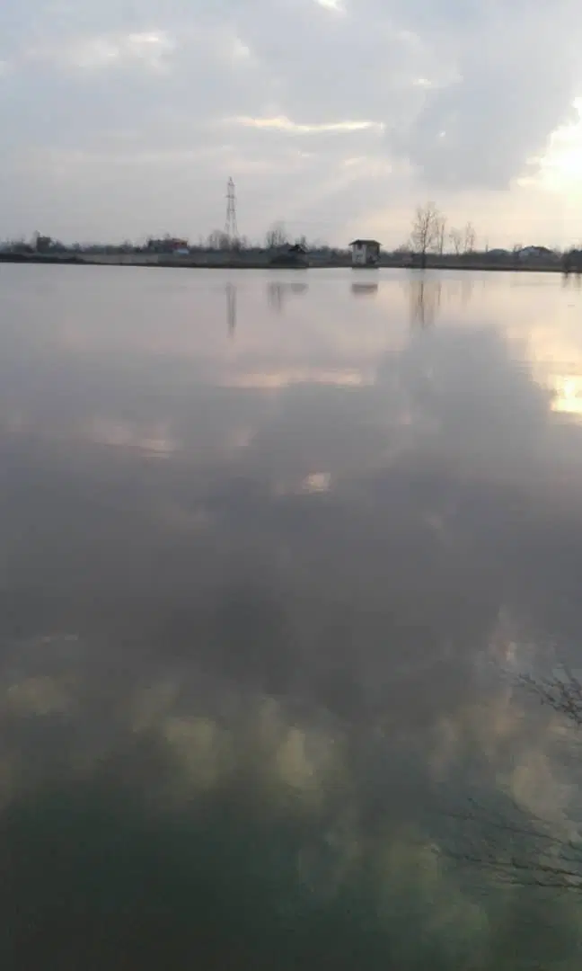 تصویر املاک 66581