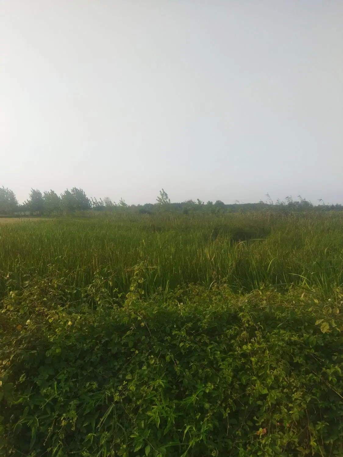 تصویر املاک 80671