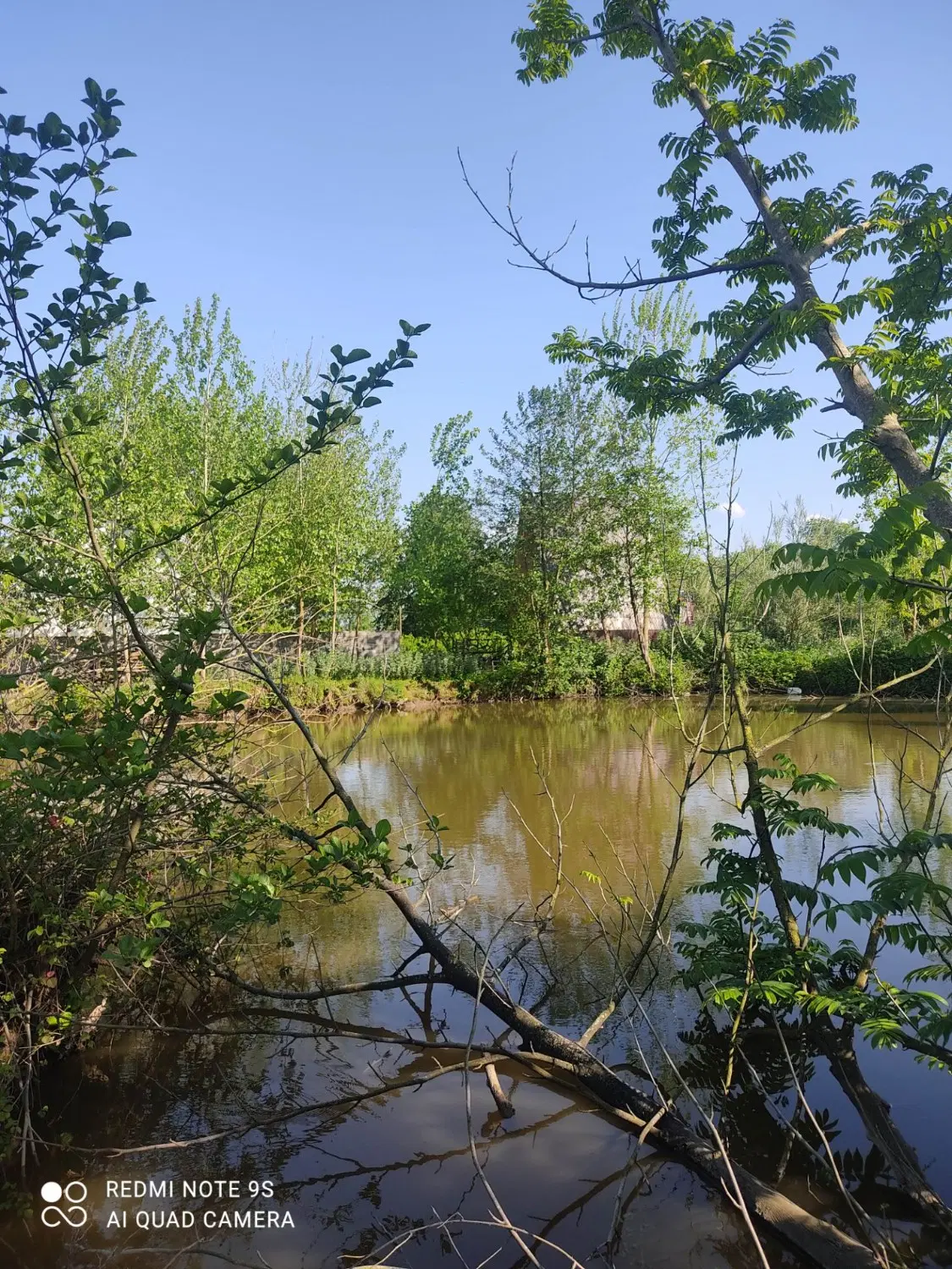 تصویر املاک 139482