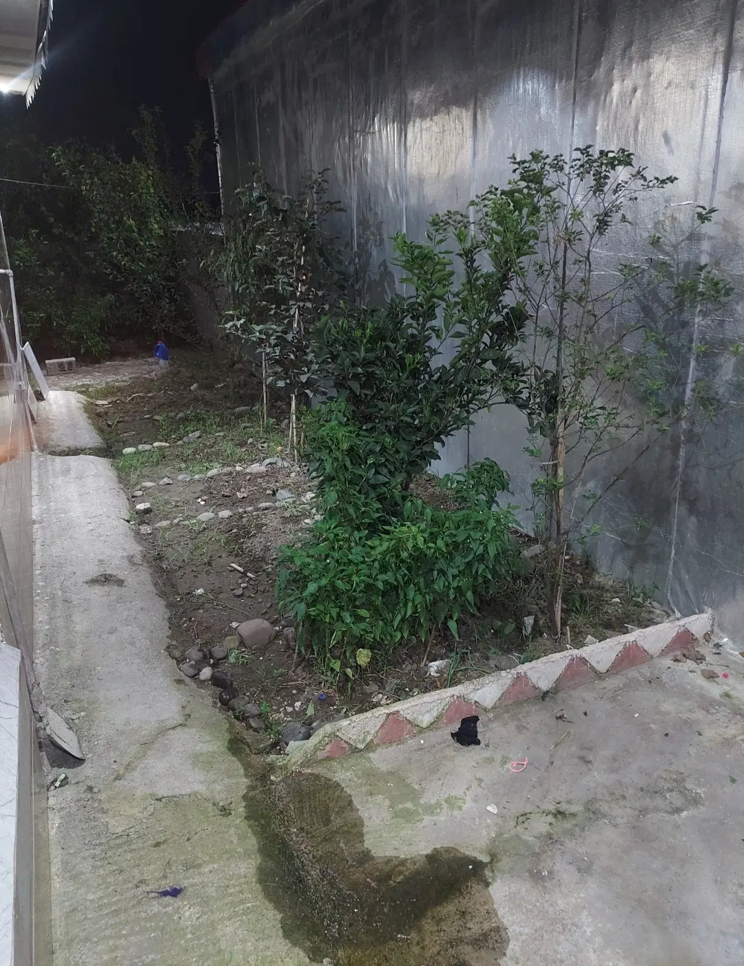 تصویر املاک 132787